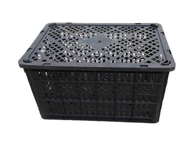 單色產(chǎn)品